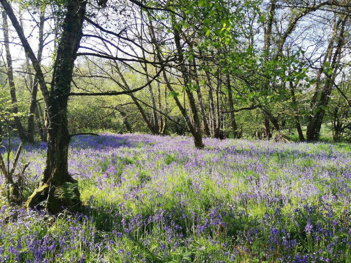 Wray Valley Moretonhampstead Buitenkant foto