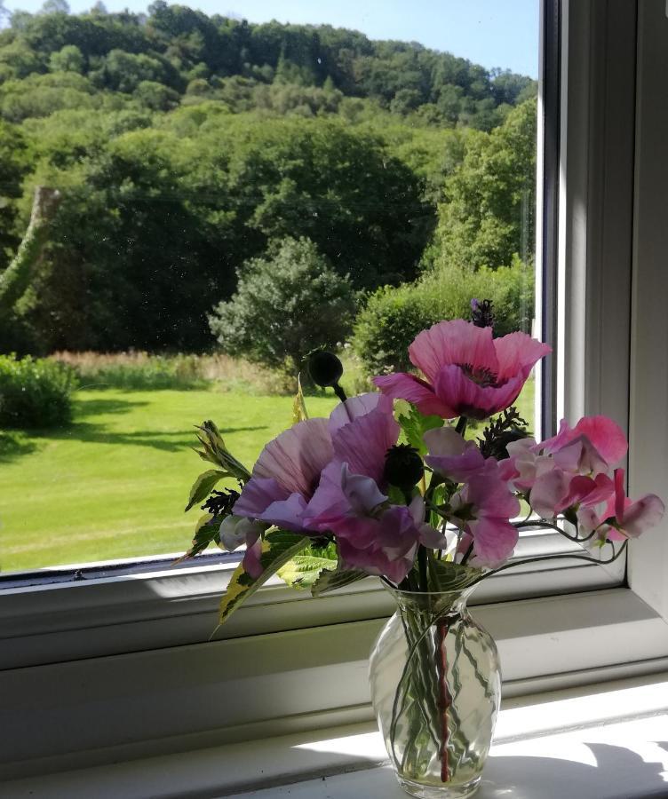 Wray Valley Moretonhampstead Buitenkant foto