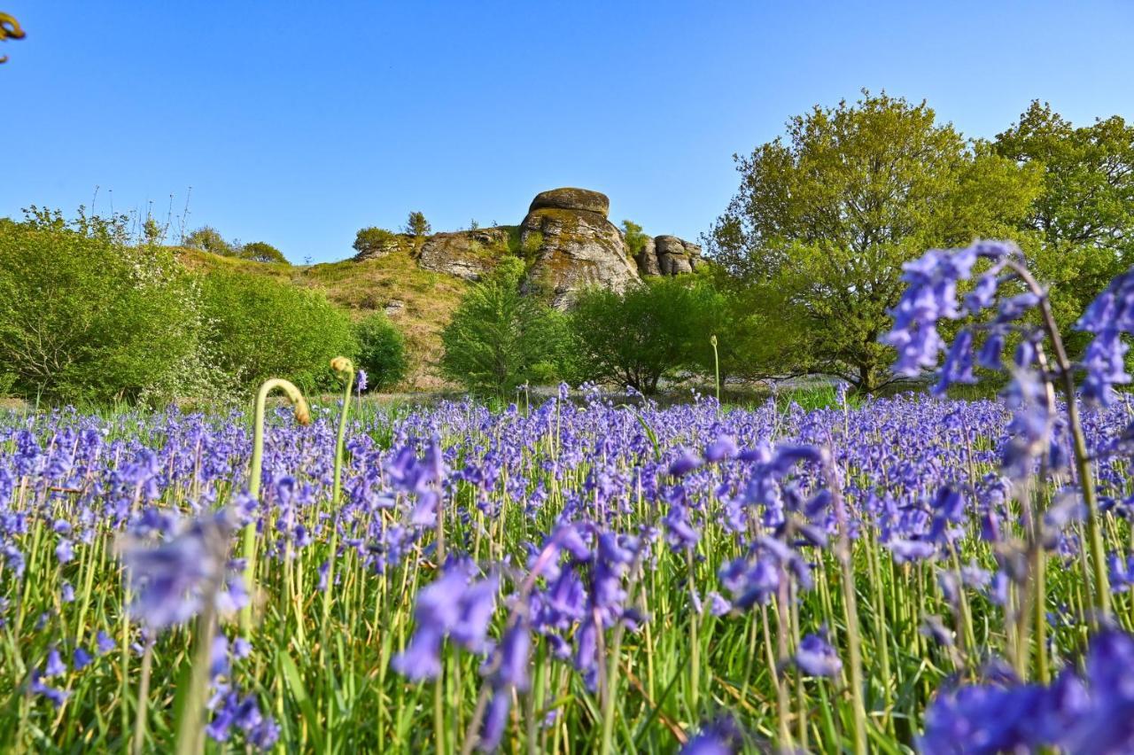Wray Valley Moretonhampstead Buitenkant foto
